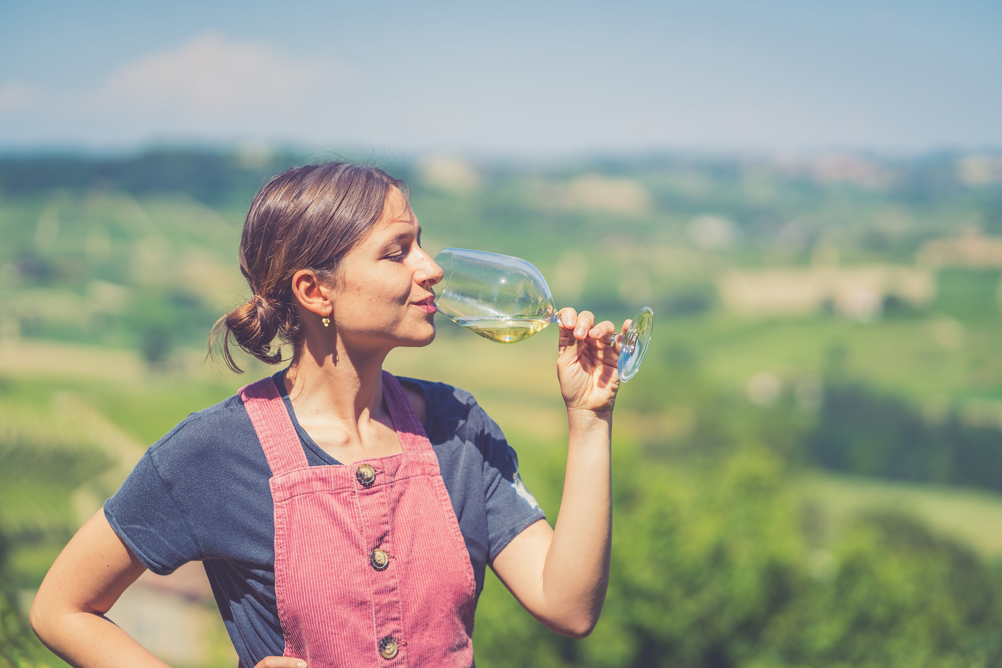 Unveiling-the-World-of-Chardonnay Hero-Banner-Recovered