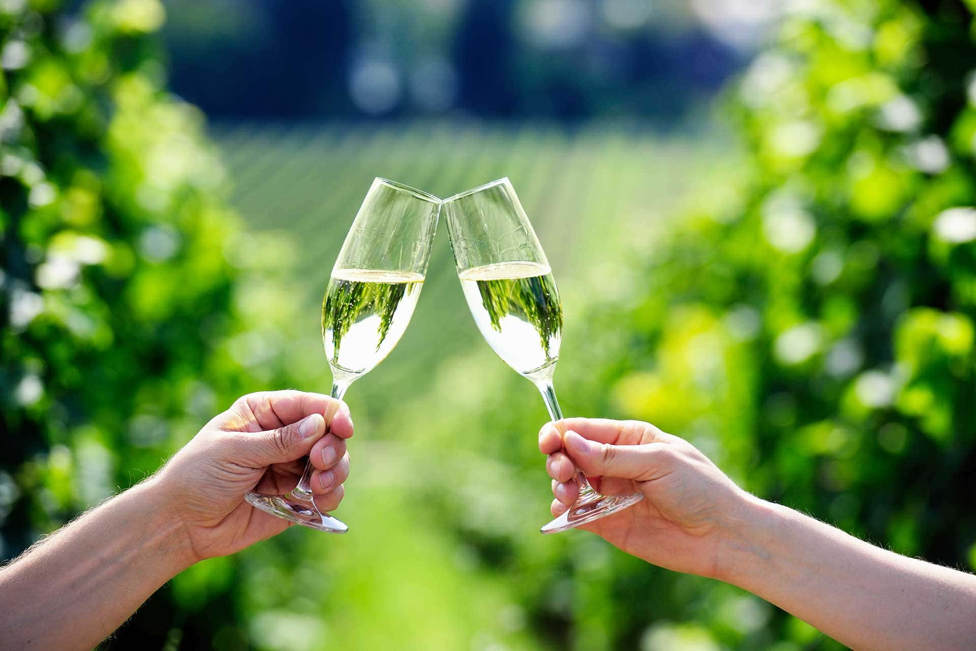 Exploring Prosecco: A Guide to Italy's Beloved Sparkling Wine